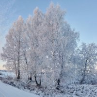 зима :: Николай Мальцев