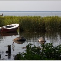 Переславль Залесский. Плещеево Озеро. :: Михаил Розенберг