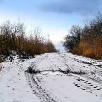 Ложится поутру пороша белая.. :: Андрей Заломленков