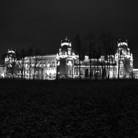 Большой дворец ночью в Царицыно :: Николай Смольников
