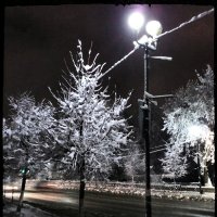Ночь. Улица. Зима. Фонарь :: Николай Варламов