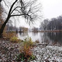 Первый день зимы в парке :: Маргарита Батырева