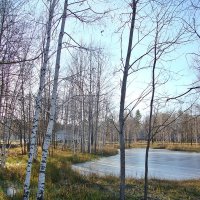 Вот и тонкий ледок :: Лидия (naum.lidiya)