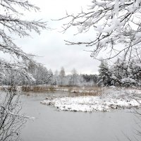 Зимний пейзаж. :: Hаталья Беклова