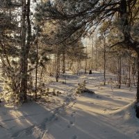 Зима пришла на Ямал.. :: Леонид Балатский