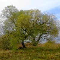 На побережье Ушаковского залива в октябре :: Маргарита Батырева