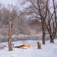 Река Уруп, течет с горы Уруп :: Игорь Сикорский