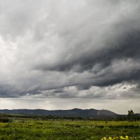 Пасмурно :: Виктория Большагина