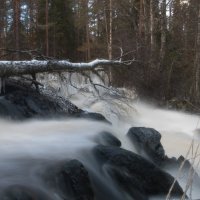 В карельской тайге :: Странник С.С.