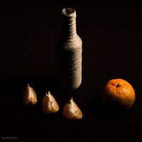 December is dark and full of tangerines :: Милоцвета (Александра Баранова) 