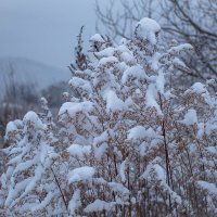 Зима 2017 :: Дарья Бурмистрова
