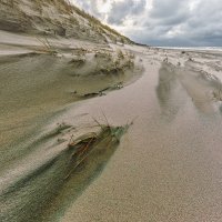 песок и ветер :: Владимир Самсонов