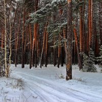 Ещё застенчив первопуток... :: Лесо-Вед (Баранов)