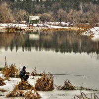 Утро :: олег свирский 