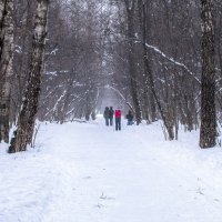 Снег идет... :: Владимир Безбородов