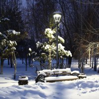 Скамейка из серии "Зимний парк" :: Сергей 