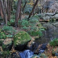 Осень в Японии :: Евгений Печенин