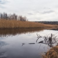 *** :: Андрей Дорожкин