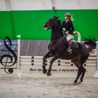 Зимний чемпионат Таганрога по конкуру :: Андрей Lyz