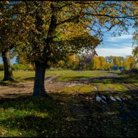 Осенние зарисовки :: Алексей Патлах