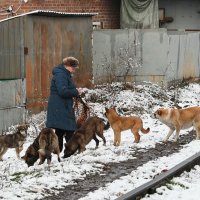 Еда. Запах бытия. :: Анатолий Шулков