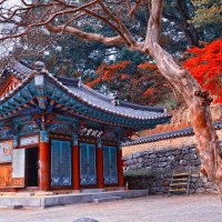 Осень в Корее :: Arximed 