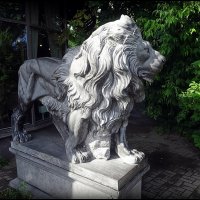 Скульптура льва около Петропавловской крепости :: Вера 