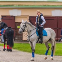 Наездница :: Владимир Брагилевский