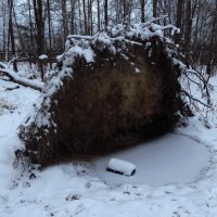 Время нецветной фотографии :: Андрей Лукьянов