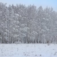 В СЕРЕБРЕ :: Константин 