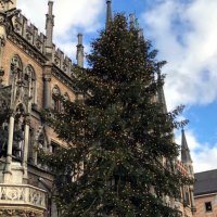 Странная рождественская ёлка в Мюнхене. :: Елена 