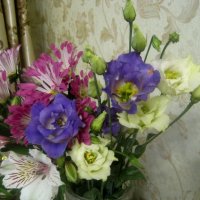 Букет цветов :: Елена Семигина