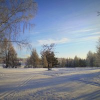 В один из зимних дней . :: Мила Бовкун