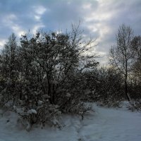 Зимний вечер :: Александр Шацких