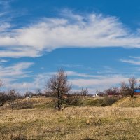 Кубань в декабре :: Игорь Сикорский