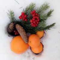 Букет из фруктов на снегу. :: Венера Чуйкова