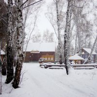 Снегопад :: Сергей Царёв