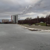 Зима на отдельно взятом пруду. Лед фотографа держит :: Андрей Лукьянов