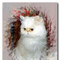 Новогодний кот. :: Чария Зоя 
