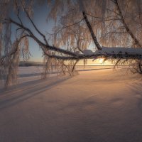 Тени на снегу :: Дамир Белоколенко