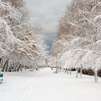 В снегу :: Vladimir Valker
