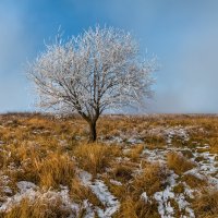 Иней в степи :: Фёдор. Лашков