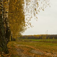 Осенний пейзаж :: Ольга Винницкая (Olenka)