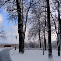 Гомель. парк. начало декабря 1 :: Александр Прокудин