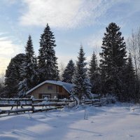 Зимние картинки :: Вера Андреева