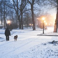 Москва :: Пила Дотошная