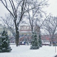 снегопад в Александровском саду :: Елена 