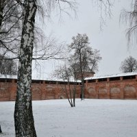 Зарайск. Стены древнего кремля. :: Михаил Столяров