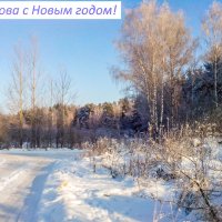 Поздравляю со Старым Новым годом! :: Александр Куканов (Лотошинский)