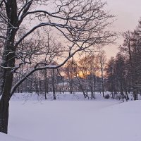 В зимнем парке. :: Senior Веселков Петр